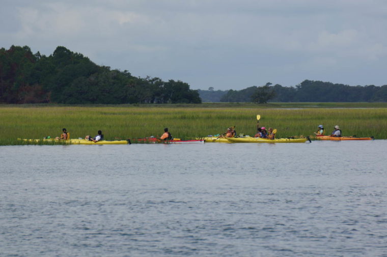 Kayak group taking a break in the marsh grass.