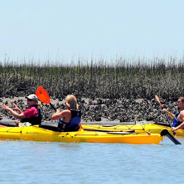 Kayak group along an oyster bed