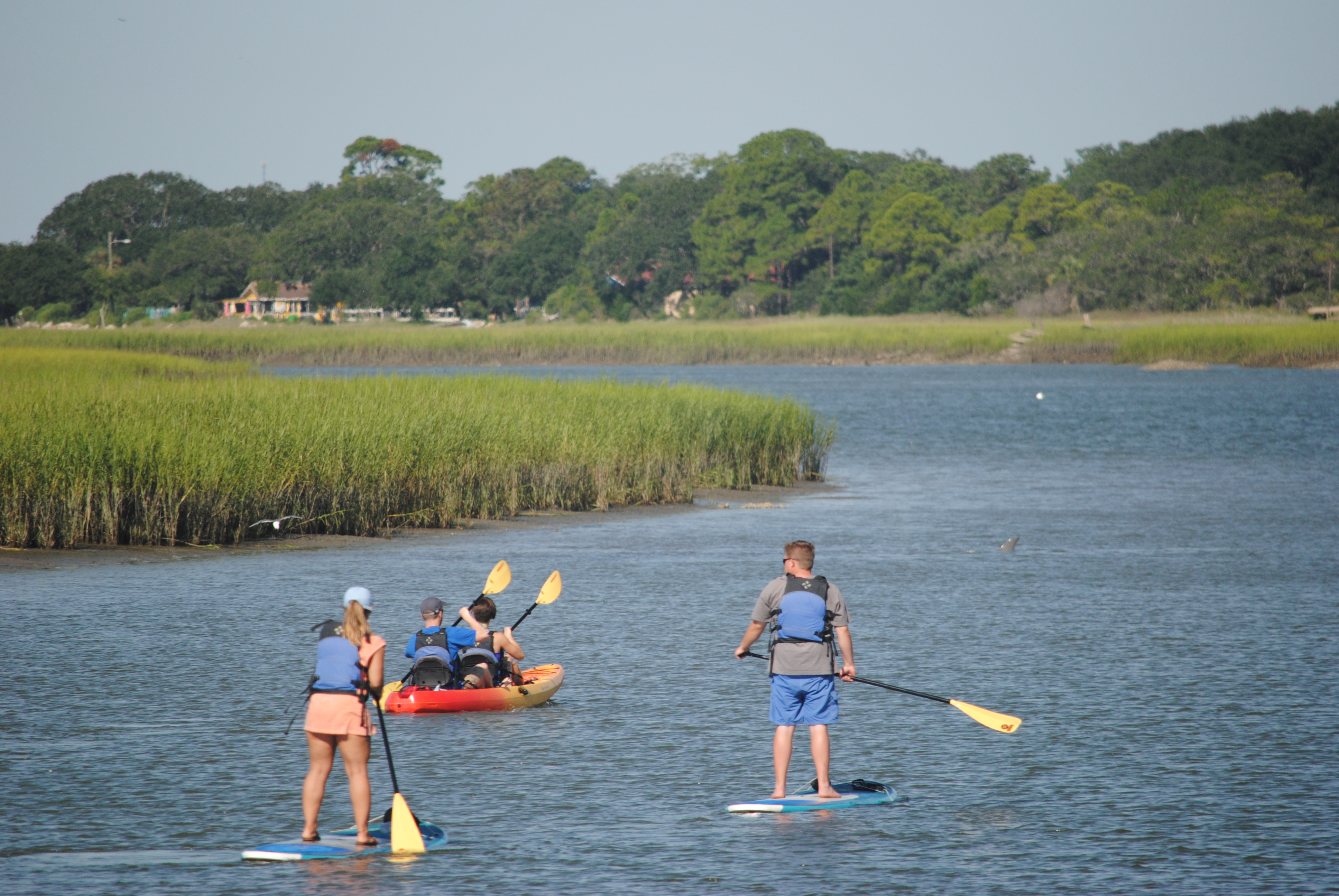 Paddleboard Rentals Charleston Outdoor Adventures