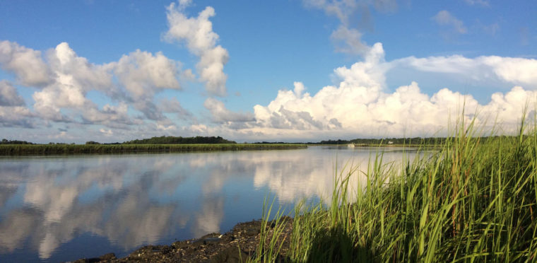 Charleston Outdoor Adventures Trip Information