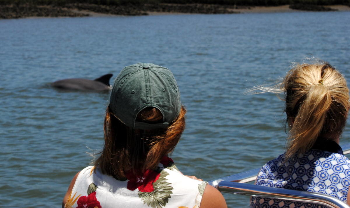 Two girls looking off the boat at a dolphin swimming by.