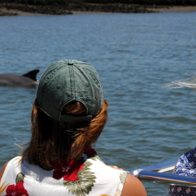 Women enjoying the company of wild dolphins.