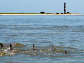 Morris Island Lighthouse Boat Tour Morris Island Lighthouse Boat Tour