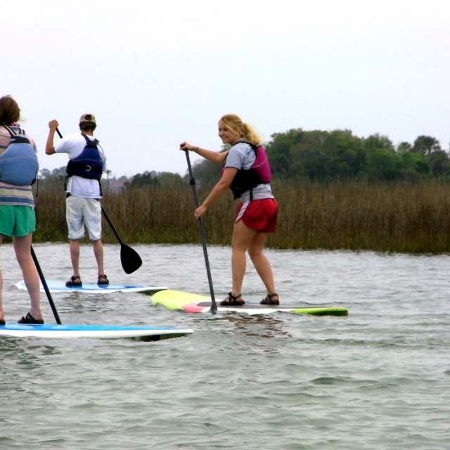 A group enjoying the afternoon paddleboarding in the estuary.
