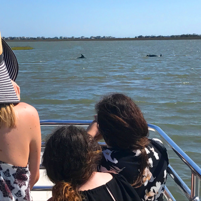 Women watching dolphins swimming by Morris Island.