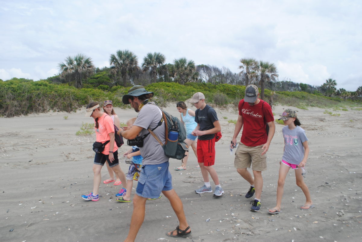 Family group looking for fossils and shark teeth on the shores of Morris Island, SC.